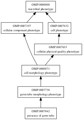 OMP:0007842