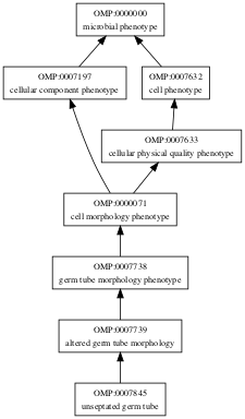 OMP:0007845