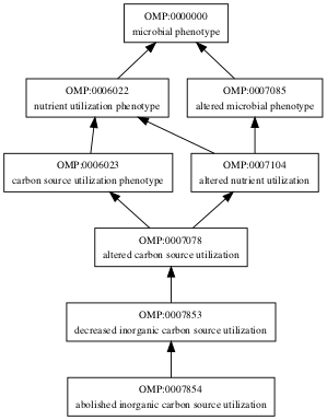 OMP:0007854