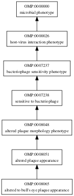 OMP:0008065